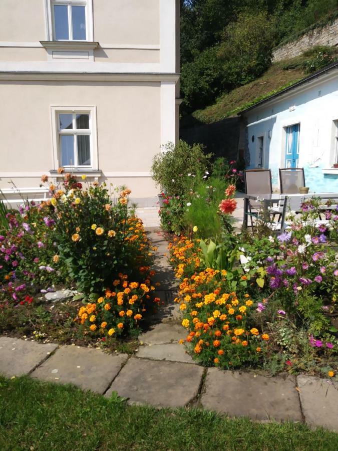 Ferienwohnungen Wilhelm Bad Schandau Eksteriør bilde