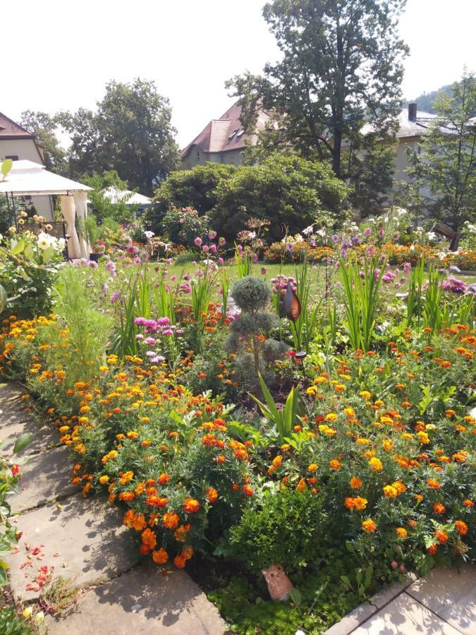 Ferienwohnungen Wilhelm Bad Schandau Eksteriør bilde